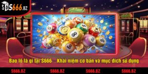 Bao Lô Là Gì? Tìm Hiểu Cách Chơi Bao Lô Tại S666 4 Bao lô là gì tại S666 – Khái niệm cơ bản và mục đích sử dụng