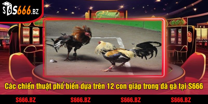 Đá Gà 12 Con Giáp Tại S666 - Trải Nghiệm Cược Thưởng Lớn 2 Các chiến thuật phổ biến dựa trên 12 con giáp trong đá gà tại S666