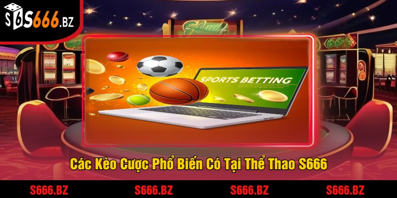 Các Kèo Cược Phổ Biến Có Tại Thể Thao S666