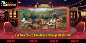 Cách Chọn Gà Đá S666 - Mẹo Và Chiến Lược Giúp Thắng Lớn 3 Các tiêu chí cơ bản để lựa chọn gà đá tốt nhất