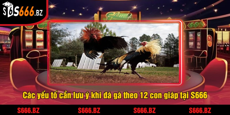 Đá Gà 12 Con Giáp Tại S666 - Trải Nghiệm Cược Thưởng Lớn 3 Các yếu tố cần lưu ý khi đá gà theo 12 con giáp tại S666