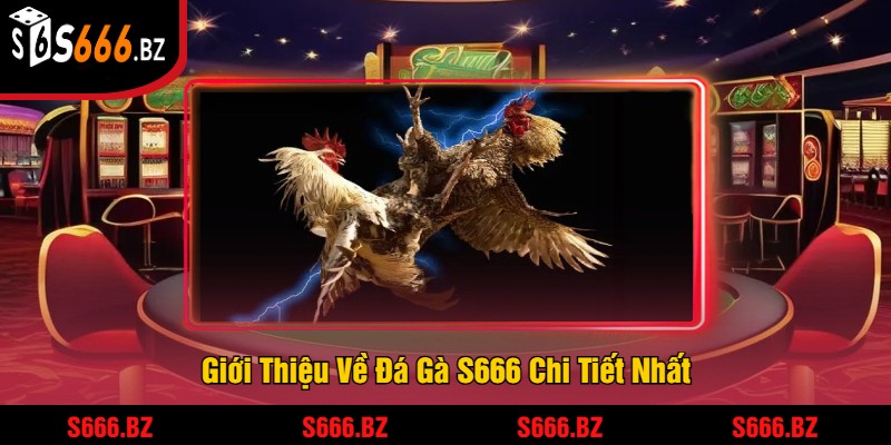 Giới Thiệu Về Đá Gà S666 Chi Tiết Nhất
