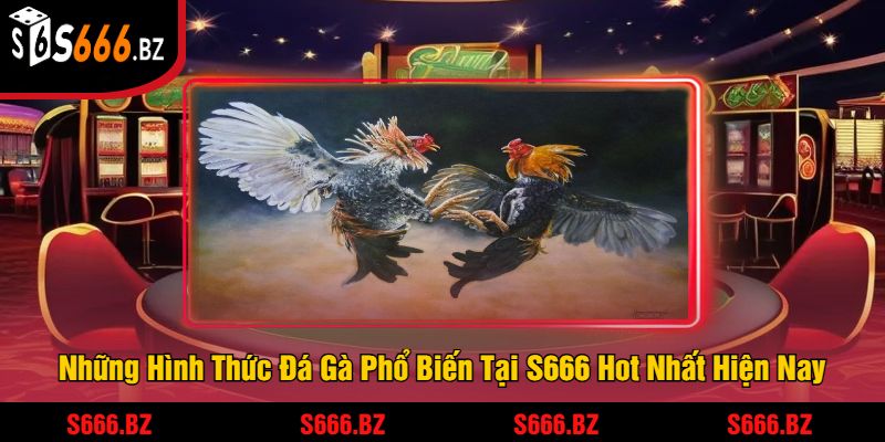 Những Hình Thức Đá Gà Phổ Biến Tại S666 Hot Nhất Hiện Nay