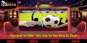 Soi Kèo Bóng Đá Chuẩn S666 - Dự Đoán Kết Quả Thắng Lớn 3 Tổng Quan Về S666 - Nền Tảng Soi Kèo Bóng Đá Chuẩn
