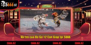 Đá Gà 12 Con Giáp Tại S666 - Trải Nghiệm Cược Thưởng Lớn 1 Vai trò của Đá Gà 12 Con Giáp tại S666